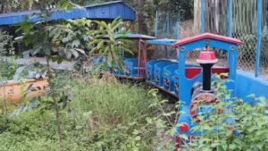 টিকিট ১০ টাকা, কিন্তু পরিষেবা শূন্য! মামা-ভাগ্নে পাহাড়ের কোলে অযত্নে নষ্ট হচ্ছে পাহাড়েশ্বর পার্ক