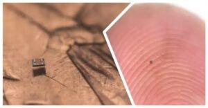 বালির দানার চেয়েও ছোট! রক্তনালীতে সাঁতার কাটবে এই রোবট, চিকিৎসা বিজ্ঞানে তোলপাড়