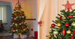 সস্তার ক্রিসমাস ট্রি-ও দেখাবে দামী! এই বছর ট্রাই করুন এই ভাইরাল ডেকোরেশন হ্যাকস