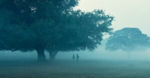 Weather: পারদ নামল ১৪ ডিগ্রিতে, বড়দিনের আগেই জাঁকিয়ে শীত?জেনেনিন আপডেট