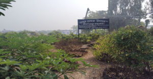 হাসপাতাল চত্বরেই মিলবে মহৌষধি! মথুরাপুরে ম্যাজিকের মতো কাজ করবে এই ২০টি ভেষজ গাছ