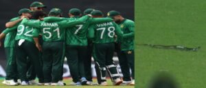 মাঠে নামার আগেই নীলকণ্ঠের আতঙ্ক! বাবর-শাহিনদের ডাগআউটে ঢুকল বিশালাকার সাপ