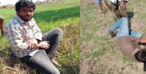 প্রকাশ্য দিবালোকে পিস্তল ঠেকিয়ে গৃহবধূর গয়না লুট! গ্রামবাসীদের রুদ্রমূর্তি দেখে পালালো ডাকাত দল!