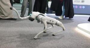 বিদেশে তৈরি রোবটকে নিজেদের বলে দাবি! দিল্লির হাই-প্রোফাইল প্রদর্শনী থেকে বিতাড়িত গালগোটিয়া