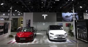 টেসলায় ‘সেক্সি’ ও ‘রোমান্টিক’ মোড! চালকের মুড বুঝে কথা বলবে AI, ফিচারে তোলপাড় বিশ্ব!