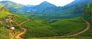 ঝাড়খণ্ডের ‘সুইজারল্যান্ড’! মেঘের রাজ্যে হারিয়ে যেতে ঘুরে আসুন এই যমজ পাহাড়ে