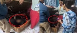 মানুষ না কি পিশাচ! ১৩ বছরের কিশোরীকে খাটের বক্সে বন্দি করে উপরেই ঘুমাচ্ছিল মালিক, শিউরে ওঠা ভিডিও ভাইরাল