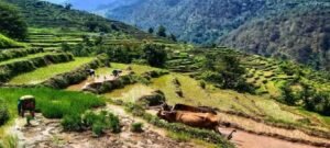 দেরাদুনে মুসলিম প্রতিষ্ঠানের জমি নিয়ে তুলকালাম! মুখ্যমন্ত্রী ধামির দ্বারে বিজেপি বিধায়ক, নেপথ্যে কি আইএমএ-র সুরক্ষা?