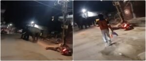 মরণফাঁদ হরিদ্বার! সামনেই বিশালকার হাতি, ভয়ে নিয়ন্ত্রণ হারিয়ে বিদ্যুতের খুঁটিতে ধাক্কা স্কুটি আরোহীর