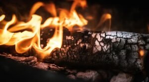 OMG! স্ত্রী-কে আগুন লাগাতে গিয়েই অগ্নিদগ্ধ স্বামী, নার্স-মৃত্যুতে তদন্তে পুলিশ