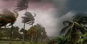 এক রাতেই ধ্বংসলীলা ডুয়ার্সে! উড়ল ঘরের চাল, শিলাবৃষ্টিতে শেষ বিঘার পর বিঘা ফসল