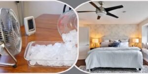 AC-ছাড়াও ঘর থাকবে ঠান্ডা, হবে না পয়সা খরচ, জেনেনিন ৬টি ট্রিকস