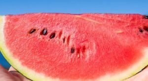 তরমুজে নুন ছিটিয়ে খাচ্ছেন? অজান্তেই শরীরের কী উপকার করছেন জানলে অবাক হবেন