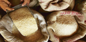 “ভারতে চাল, ডালের দাম বাড়তে পারে”-জেনেনিন কতটা পড়বে যুদ্ধের প্রভাব?