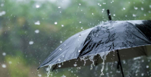 কালবৈশাখীর দাপট নাকি ঘূর্ণাবর্তের ভ্রুকুটি? আজই দক্ষিণবঙ্গে ধেয়ে আসছে ৬০ কিমি বেগে ঝড়!