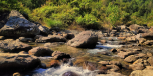 দার্জিলিং-কালিম্পং তো অনেক হলো! ভিড় এড়িয়ে এবার চলুন উত্তরবঙ্গের এই ‘গুপ্ত স্বর্গে’, যেখানে নদীই আপনার সঙ্গী