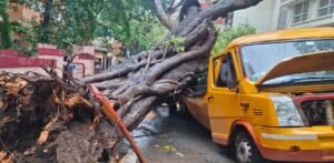চেম্বুরে শোকের ছায়া! স্কুল বাসের ওপর গাছ পড়ে প্রাণ হারাল খুদে পড়ুয়া, আহত ৪