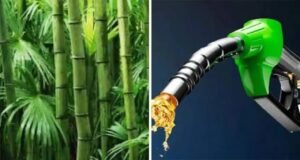 জাতীয় ই-২০ নীতিতে বড় স্বস্তি! ইথানল বরাদ্দ নিয়ে বড় রায় সুপ্রিম কোর্টের