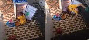 সতর্ক হোন! ফ্রিজ পরিষ্কারের সময় এই ভুলটিই ডেকে আনল মৃত্যু, বাড়ির সিসিটিভিতে ধরা পড়ল ভয়াবহ মুহূর্ত