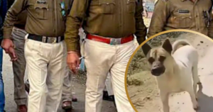 পোষা কুকুরকে মাংস খাইয়ে ১৮ লক্ষ টাকার মেগা লুট! ভোপালের সেই দুর্ধর্ষ ডাকাতির মাস্টারমাইন্ড কীভাবে শেষমেশ জালে পড়ল?