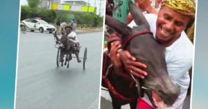 গাধার দৌড় জয়! মালিককে জড়িয়ে ধরে কী এমন করল এই গাধা? ভাইরাল ভিডিও দেখে হতবাক নেটপাড়া