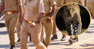 সেলিম নয়, আসলে ভগবান! ১০টি চিতাবাঘের চামড়া উদ্ধারের ঘটনায় নাম জড়িয়ে বড়সড় বিপাকে ওয়াইল্ডলাইফ এসওএস?