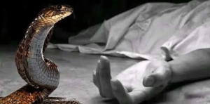 হস্টেলে গভীর রাতে ঘুমন্ত অবস্থায় বিষধর সাপের ছোবল! ৩ ছাত্রীর মৃত্যুতে শোকের ছায়া গড়চিরোলিতে