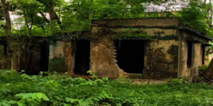 স্বাস্থ্যকেন্দ্র না ভূতের বাংলো? জঙ্গল ও সাপের উপদ্রবে বেহাল দশায় ধুঁকছে চিকিৎসালয়!