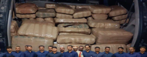 বিরাট মাদক চক্র ফাঁস! ৩ কুইন্টাল গাজা সমেত ট্রাক ও কার আটক করল মথুরা পুলিশ
