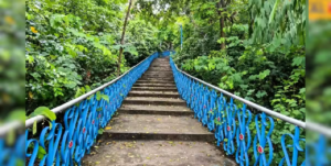 বাঁকুড়ার বুকে লুকিয়ে থাকা এক টুকরো স্বর্গ! জলের ধারে অচেনা পাহাড়ে উইকেন্ড কাটানোর দারুণ ঠিকানায় উপচে পড়া ভিড়