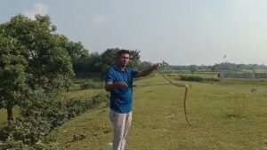 OMG! স্বাস্থ্যকেন্দ্রে সাপের উপদ্রব, ঝুঁকি নিয়ে বিষধর সাপ উদ্ধার পরিবেশকর্মীর