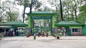 বেঙ্গল সাফারি পার্কে একের পর এক রহস্যমৃত্যু! মাত্র ৩ মাসেই সিংহ-হরিণ সহ ৭ বিরল প্রাণীর নিথর দেহ, কী ঘটছে আড়ালে?
